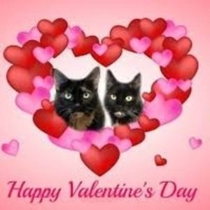 Meet your Posher, Roxanne